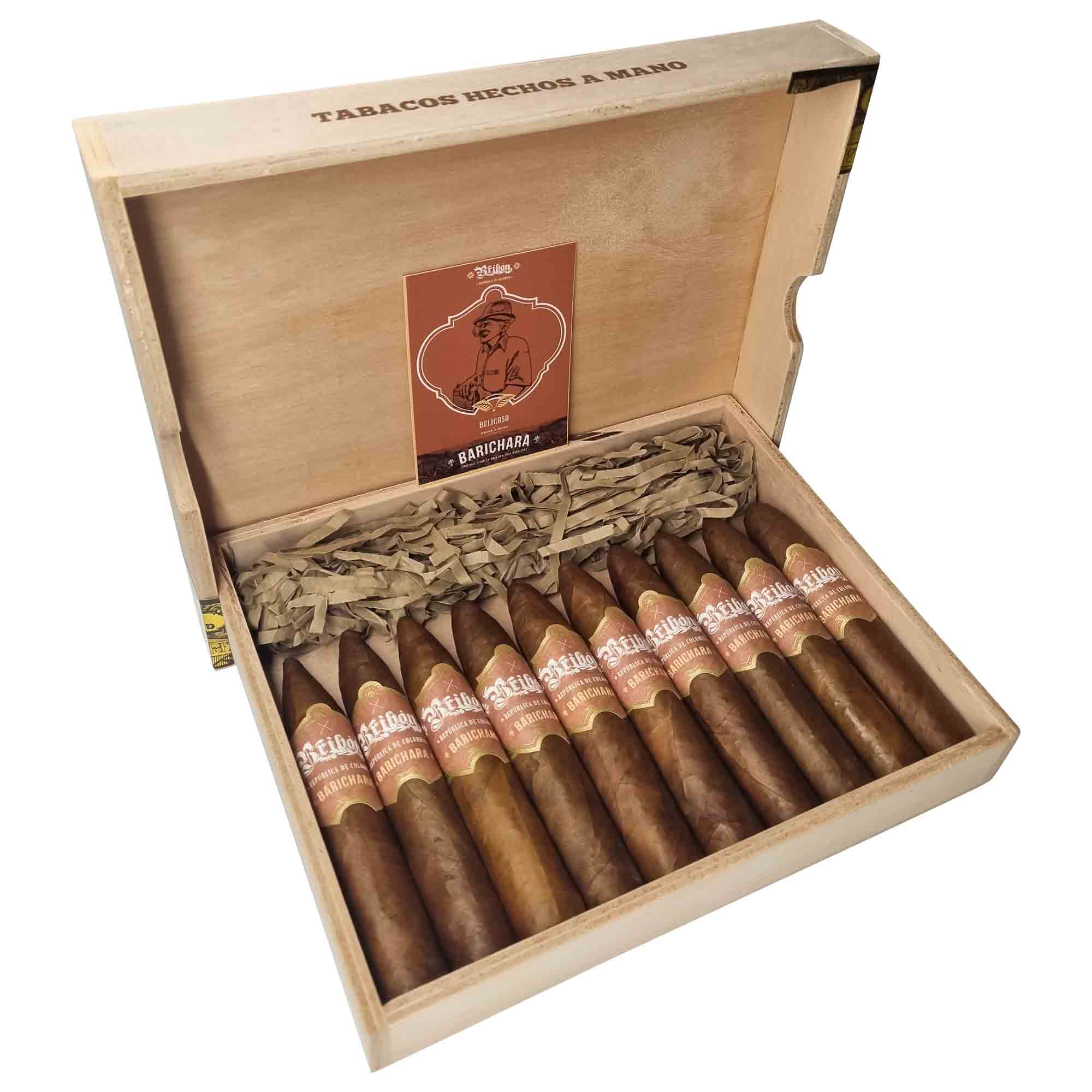 Bribon Belicoso