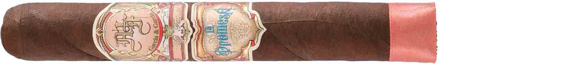 My Father La Promesa Toro My Father La Promesa Toro