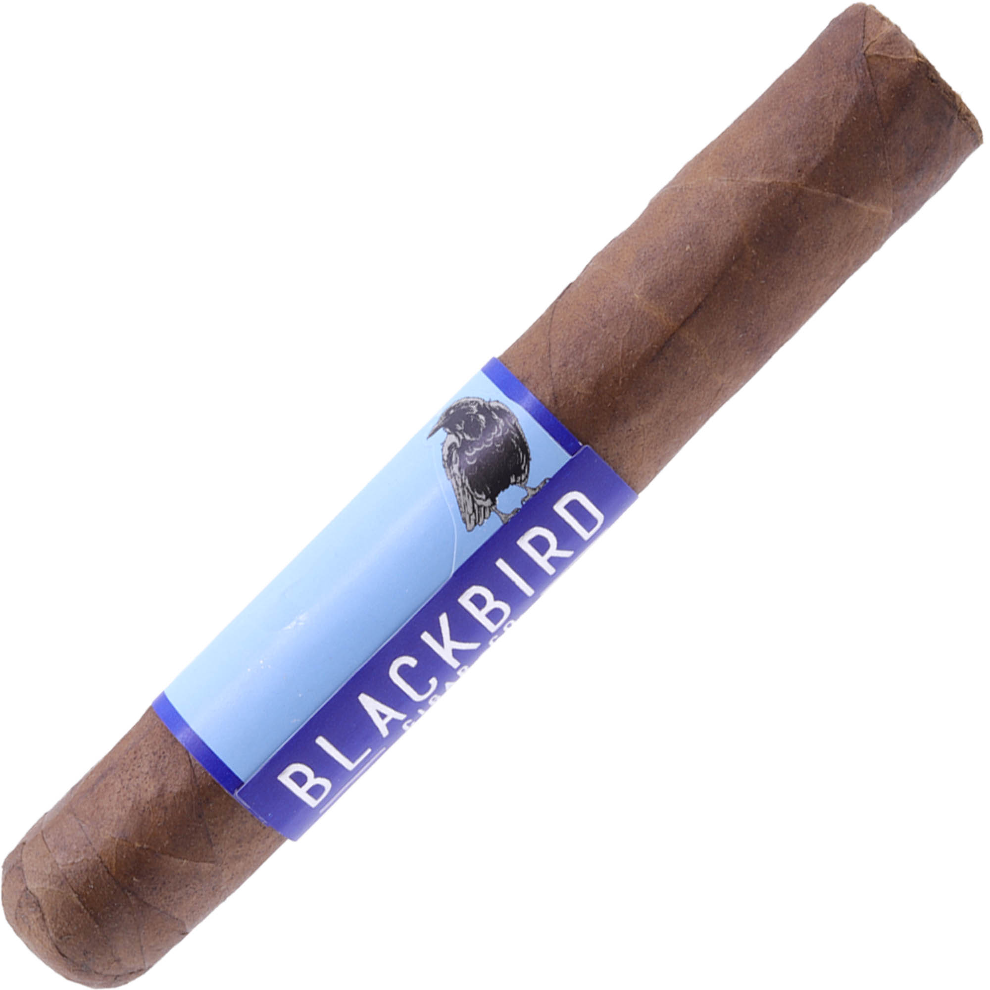 Blackbird Finch Sumatra Robusto
