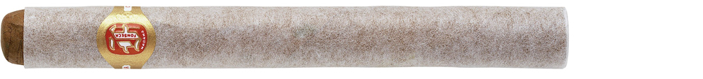fonseca_no1_individuel Fonseca N° 1