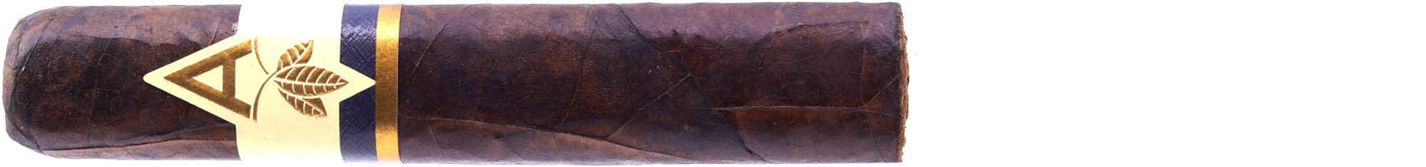 Artista Midnight Robusto Artista Midnight Robusto