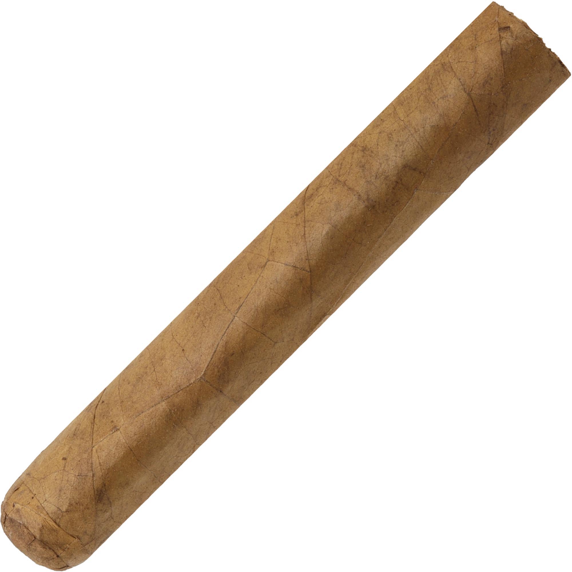 esclave-robuste-simple_maître Machetero Short Robusto