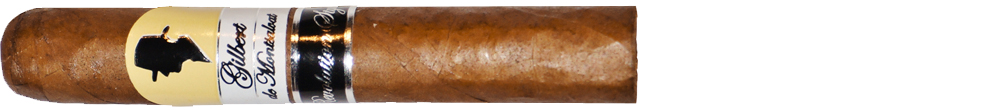 gdm_revolution_style_robusto_individuel1Xmuk2CxHwye6 Gilbert Révolution Style Robusto