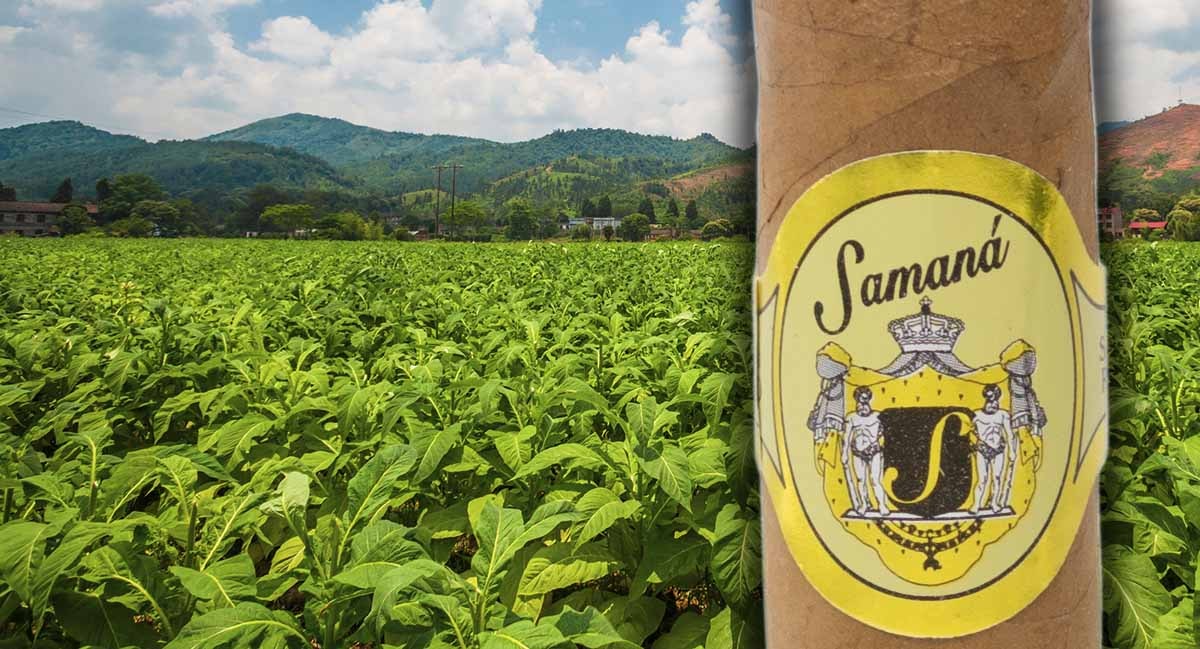 Cigares Samana Cigares Samana