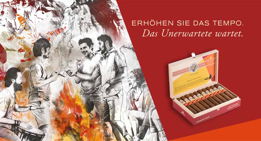 Cigares AVO Fogata Cigares AVO Fogata