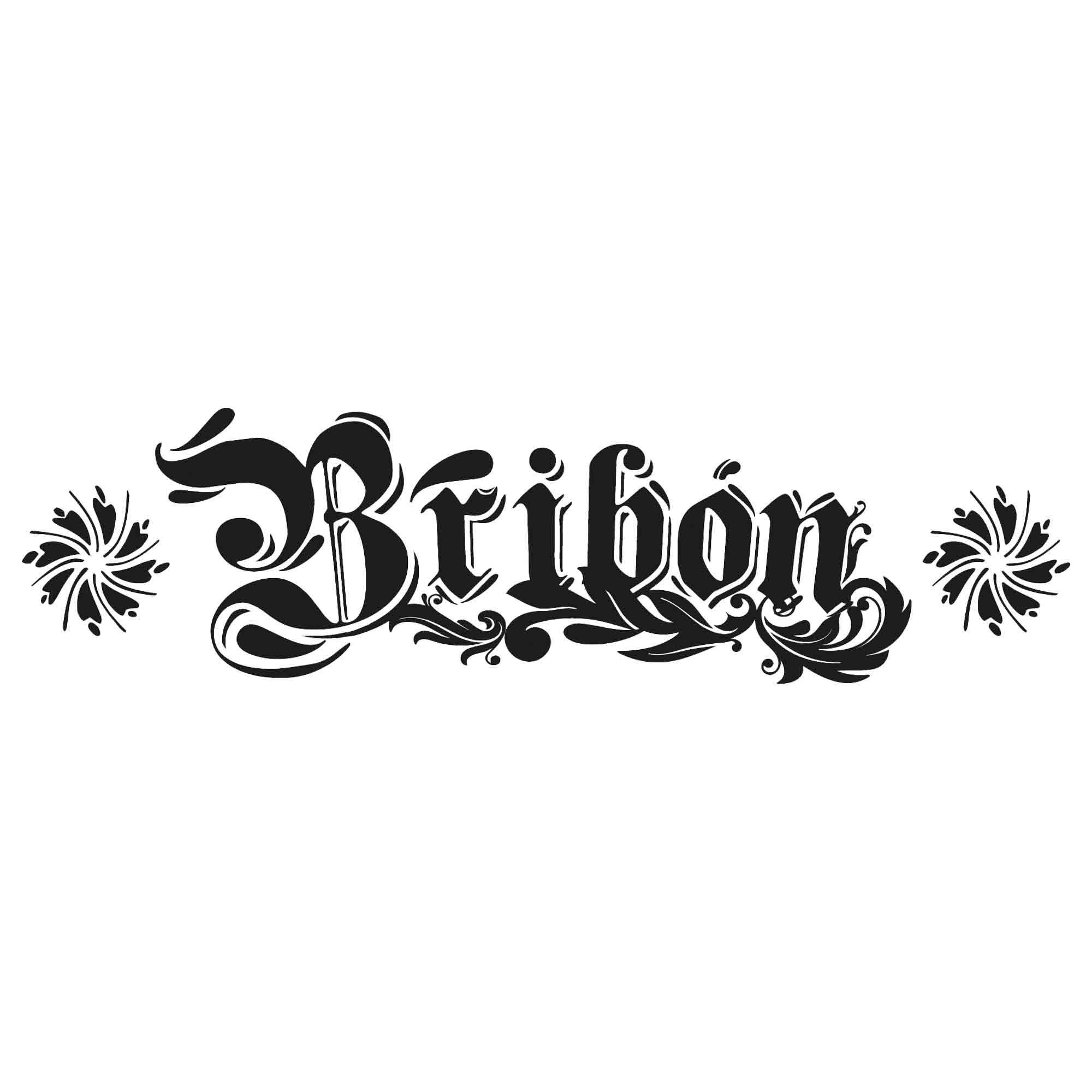 Bribon Bribon