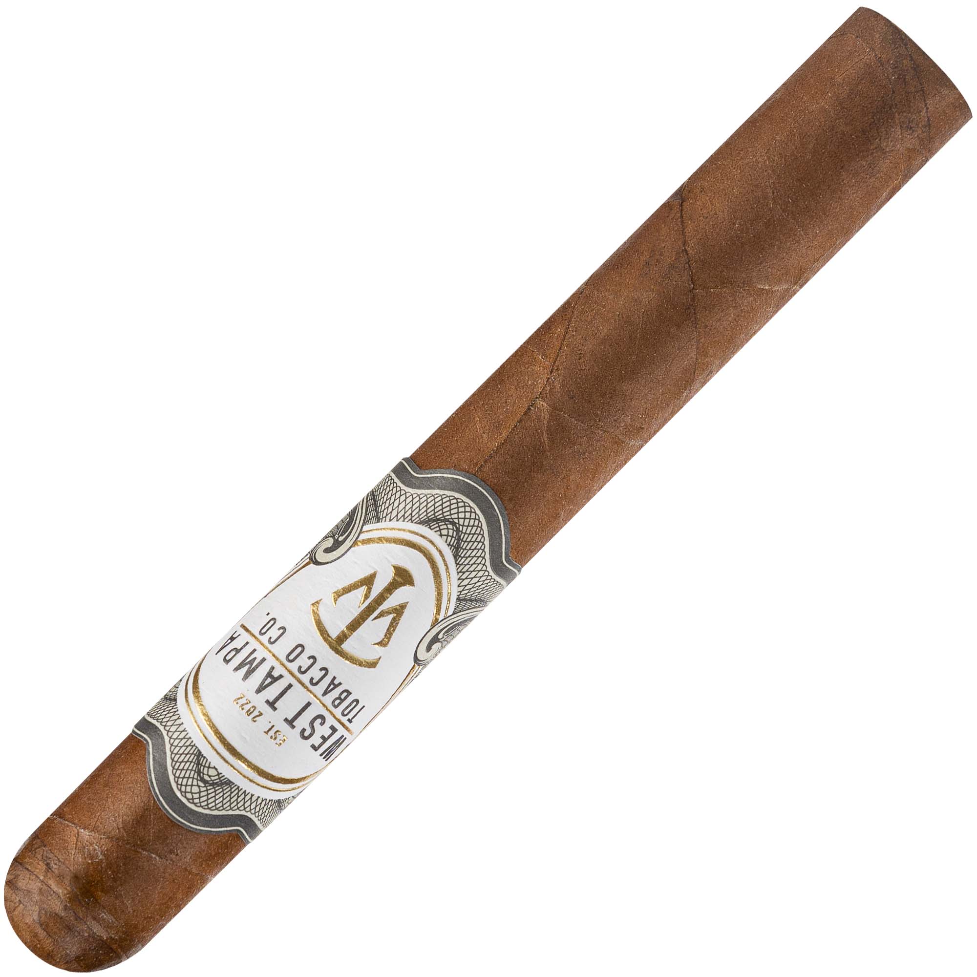 Ouest-Tampa-White-Toro-slave Toro blanc de Tampa Ouest