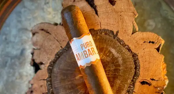 Cigares Artista Puro Ambar Cigares Artista Puro Ambar
