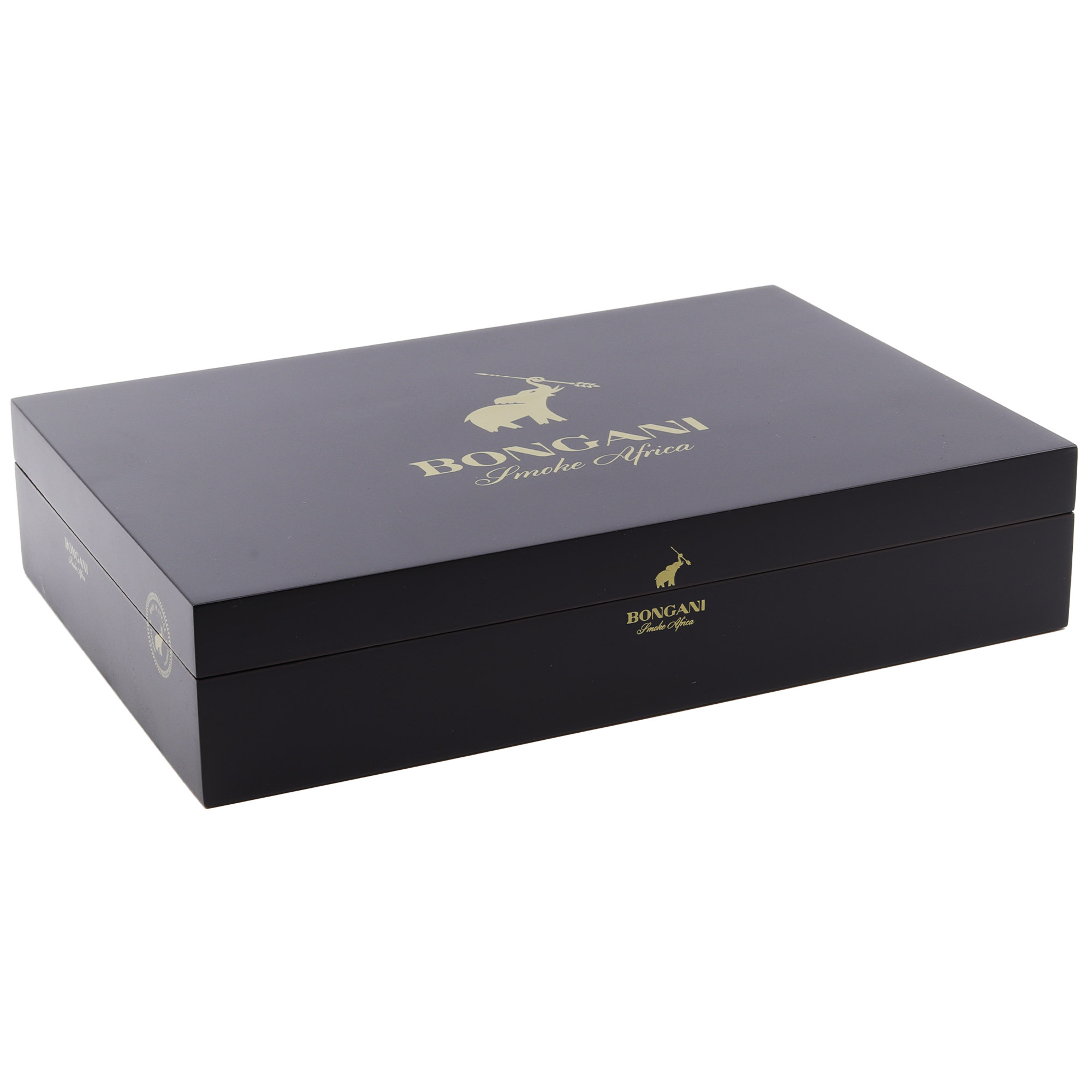 Bongani_Toro_458_20s_2 Bongani 458