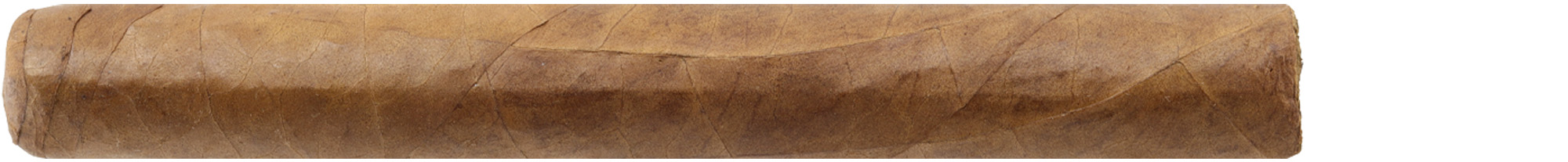 Lost-and-Found-Swollen-Cock-Toro-masculin Lost & Found Swollen Cock Toro
