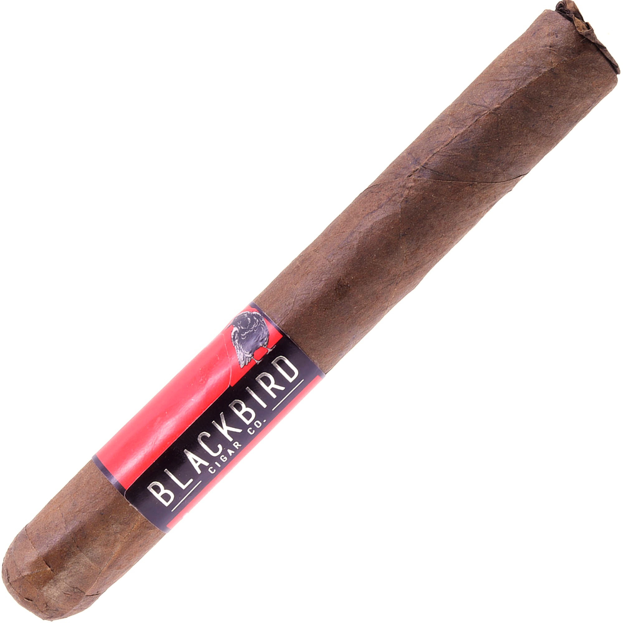 Aktion Blackbird Crow San Andres Doble Toro