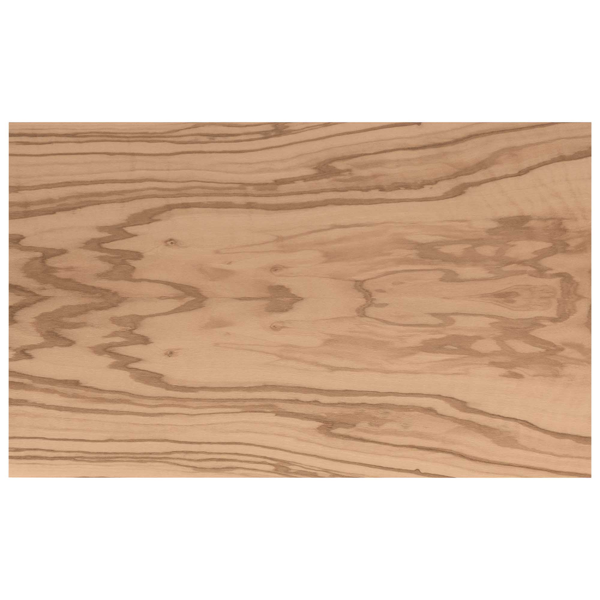 Davidoff Humidor Ambassador Olivetree