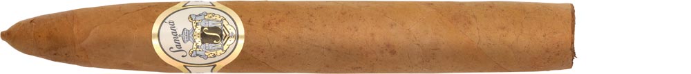 samana_torpedo Samaná Torpedo