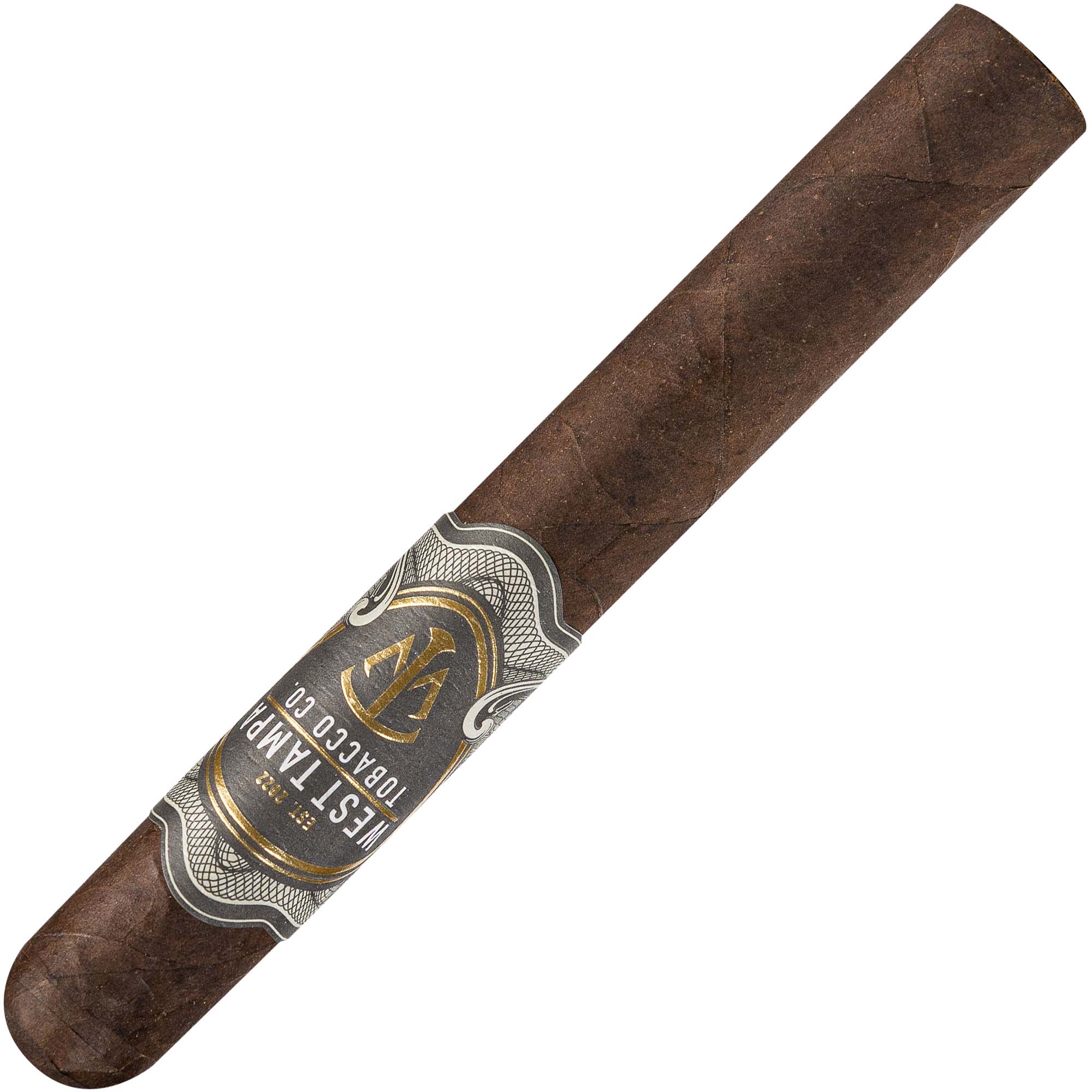 Ovest-Tampa-Nero-Toro-schiavo Toro Nero di Tampa Ovest