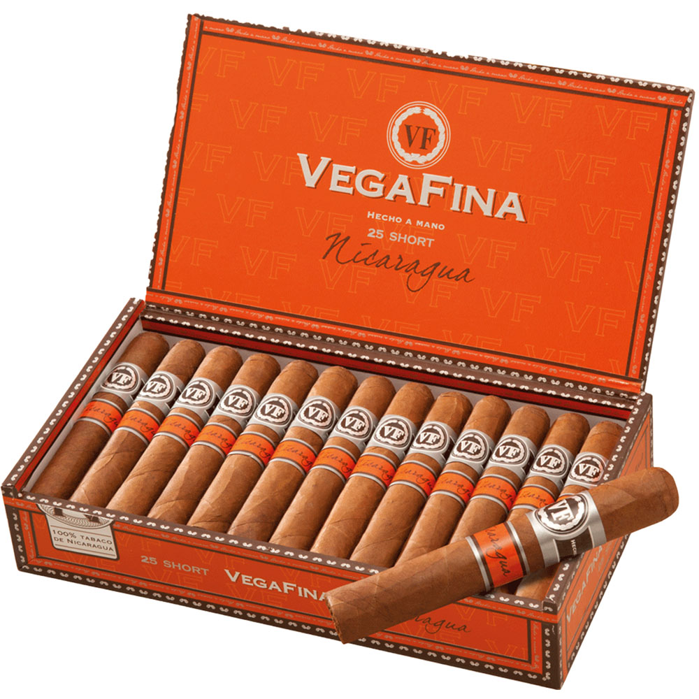 Vega Fina Nicaragua court